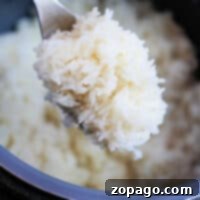 Perfect Instant Pot Jasmine Rice 7 Close-up of a spoon holding fluffy jasmine rice cooked to perfection in an Instant Pot.