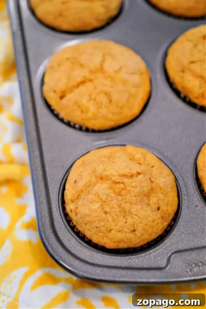 Easy Cake Mix Pumpkin Banana Muffins 2 Pumpkin-flavored banana muffins with a golden-brown top are baked in a dark muffin tray, resting on a cheerful yellow and white patterned cloth.