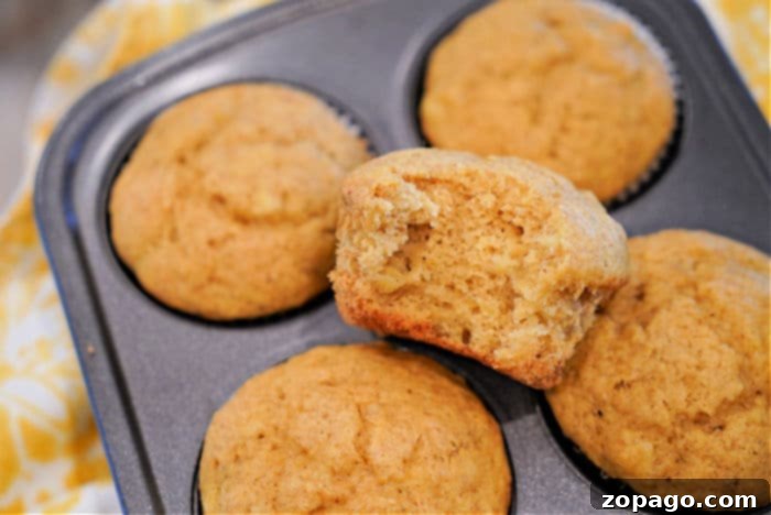 Easy Cake Mix Pumpkin Banana Muffins 7 Cake Mix Pumpkin Banana Muffins