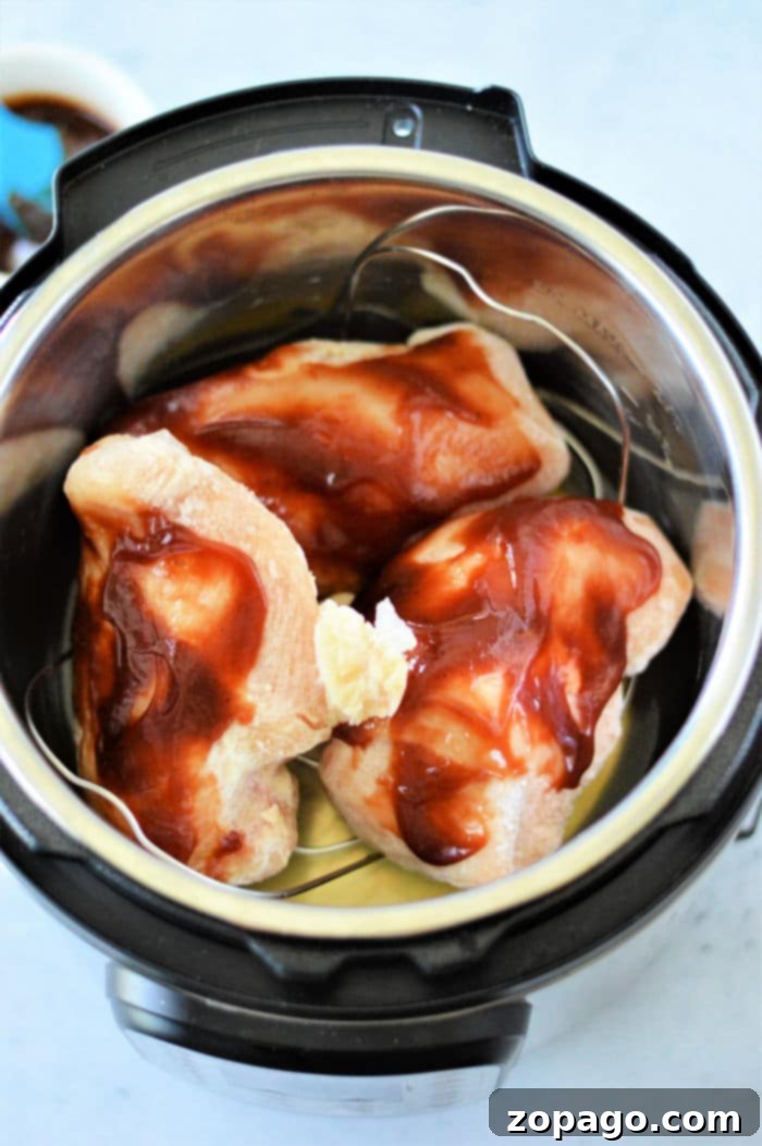 Instant Pot From Frozen Chicken Breast in Sauce 5 pressure cooker Frozen Chicken Breast