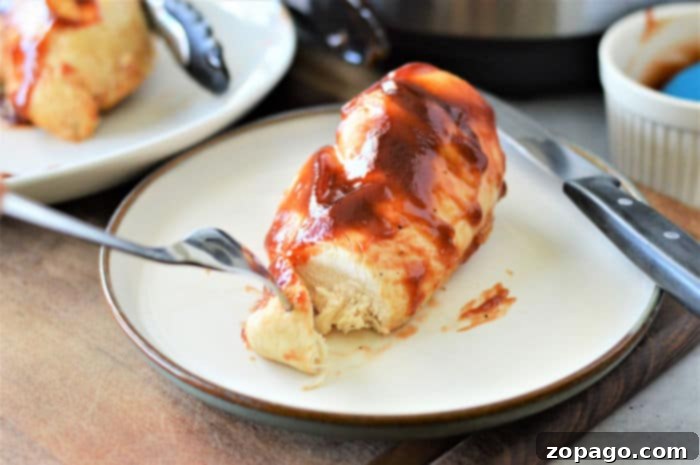 Instant Pot From Frozen Chicken Breast in Sauce 7 instant pot chicken breast