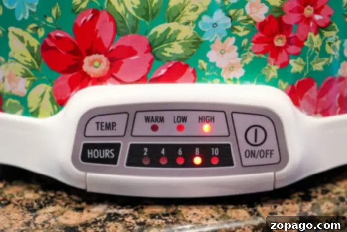 Fall Apart Slow Cooker Beef 6 Close-up of a floral-patterned slow cooker, perfect for a beef chuck roast. The control panel displays temperature settings labeled Warm, Low, and High, with corresponding lights. Hours settings range from 2 to 10, showing lights indicating 4 and High are selected.