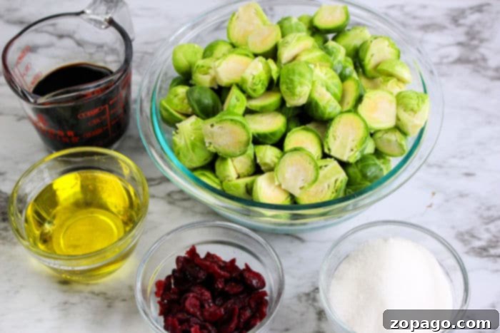 Crispy Brussels with Sweet Balsamic Drizzle 3 Close-up of roasted Brussels sprouts with dried cranberries and a glistening balsamic glaze.