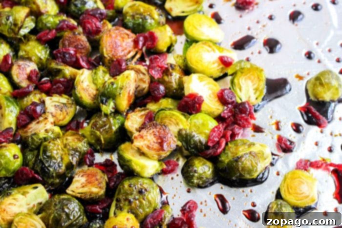 Crispy Brussels with Sweet Balsamic Drizzle 5 A bowl of roasted Brussels sprouts with balsamic glaze and dried cranberries, served as a recipe showcase.