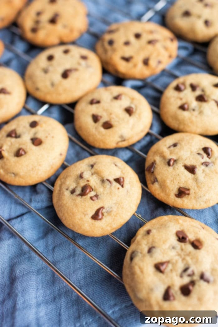 Homemade Chocolate Chip Cookie Essentials 2 simple chocolate chip cookies