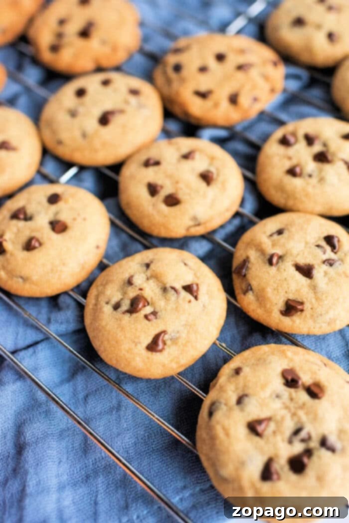Homemade Chocolate Chip Cookie Essentials 10 Chocolate Chip Cookie Ingredients
