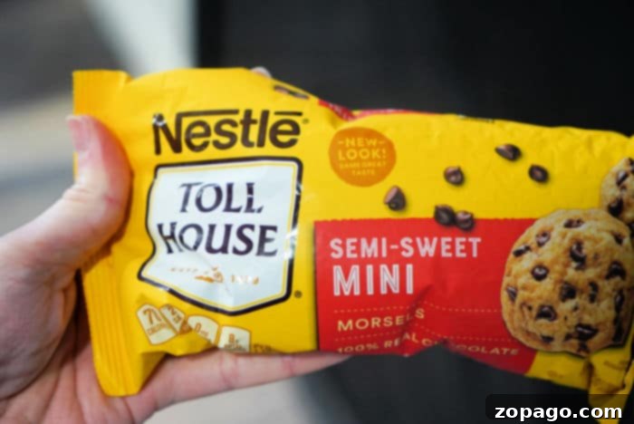 Homemade Chocolate Chip Cookie Essentials 5 mini chocolate chips