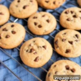Homemade Chocolate Chip Cookie Essentials 9 Chocolate Chip Cookie Ingredients