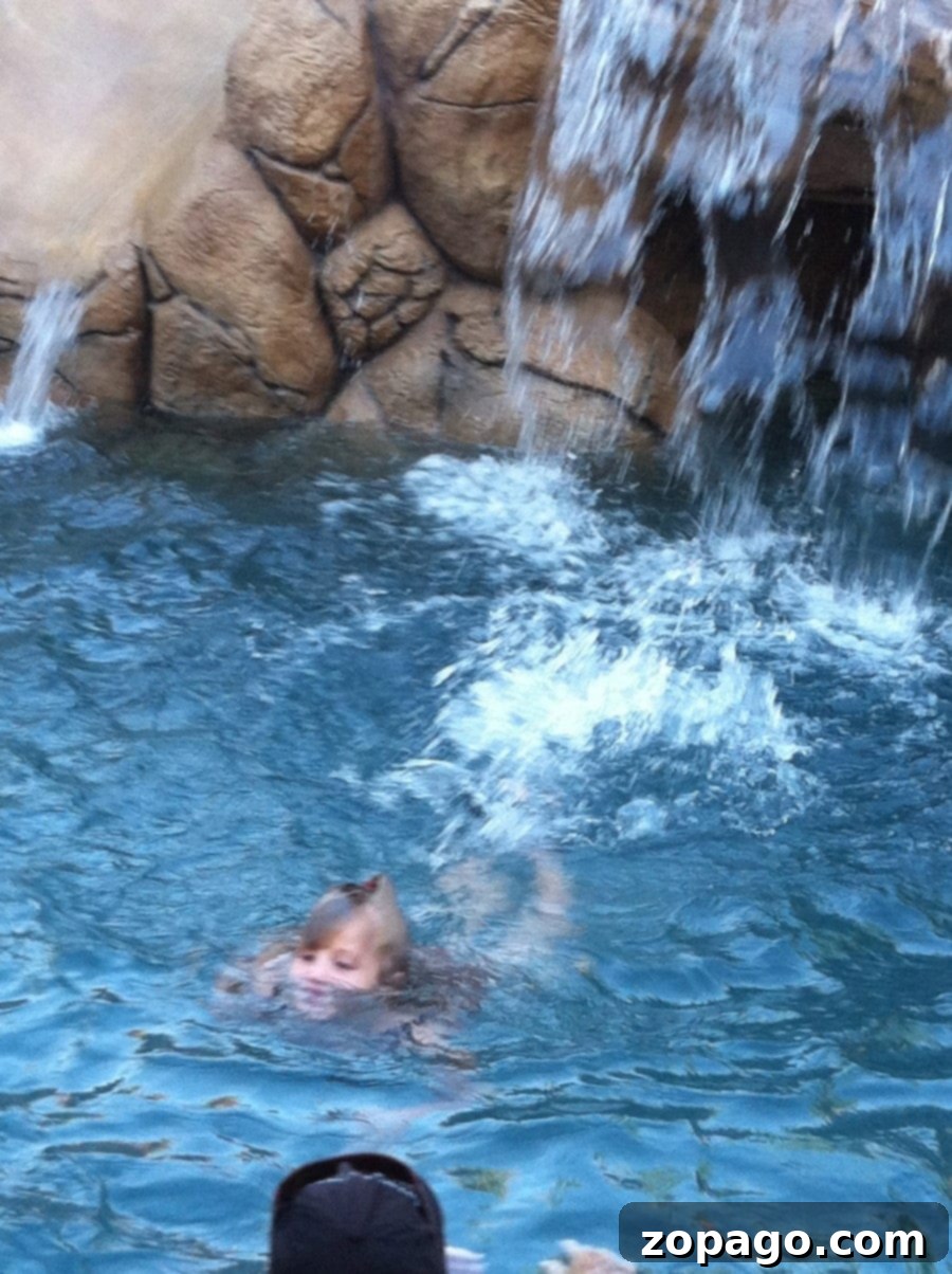 A Splash into Awesome Otters Swim Temecula 3 Children enjoying swim lessons at Awesome Otters Temecula