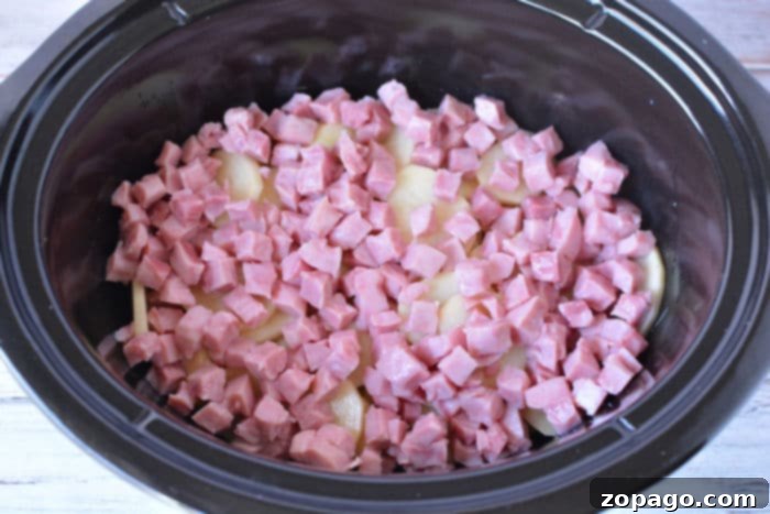 Easy Slow Cooker Ham and Potatoes 6 Crockpot ham potato recipe with melted cheese