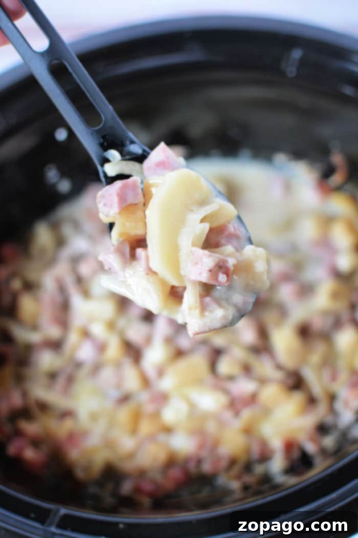 Easy Slow Cooker Ham and Potatoes 9 Portioned Crockpot Ham and Potatoes in an airtight container for meal prep