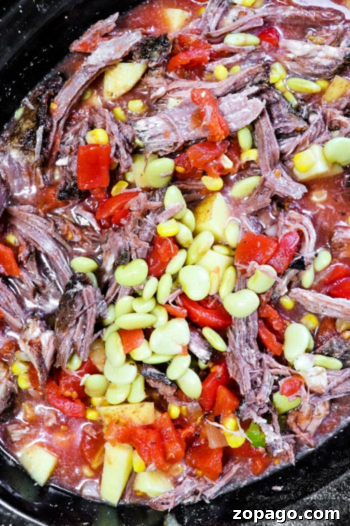 Slow Cooker Brunswick Stew 8 A close-up shot of slow cooker beef stew, rich and thick, ready for serving.