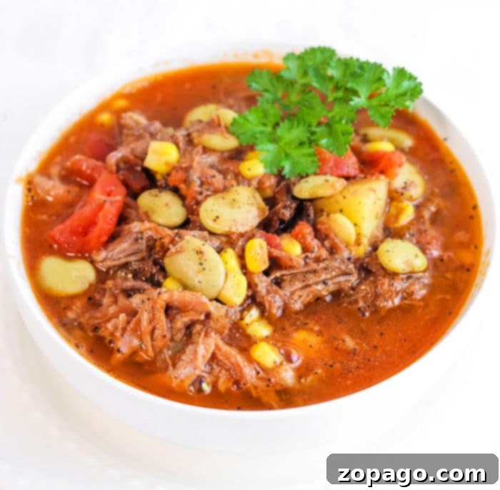Slow Cooker Brunswick Stew 9 A rustic bowl of homemade Brunswick Stew, rich with meat and vegetables.