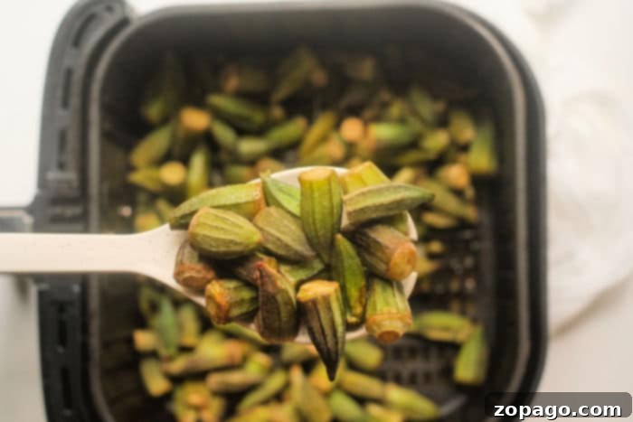 Perfectly Crispy Air Fryer Frozen Okra 5 ninja foodi okra