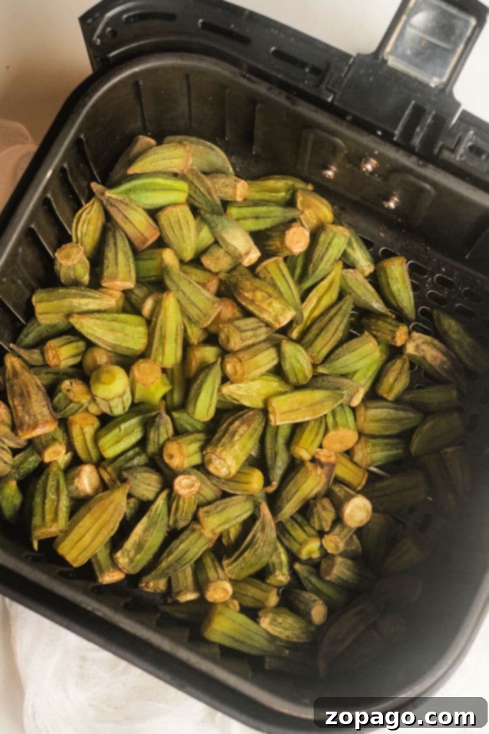 Perfectly Crispy Air Fryer Frozen Okra 7 okra air fryer