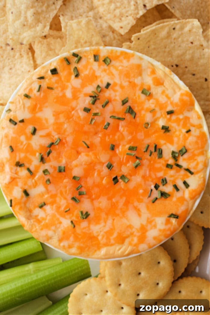 Instant Pot Buffalo Chicken Dip 2 A cheesy buffalo chicken dip, made in an Instant Pot and topped with chives, is surrounded by tortilla chips, celery sticks, and round crackers.