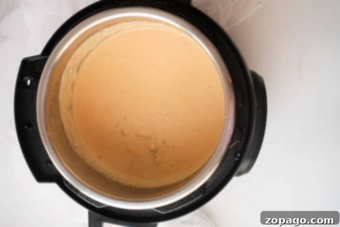 Instant Pot Buffalo Chicken Dip 6 hot Chicken Dip