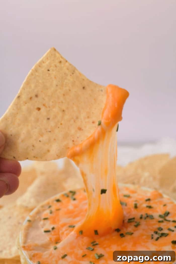 Instant Pot Buffalo Chicken Dip 7 A tortilla chip dipped in gooey cheese with chives, set against a backdrop of crispy chips, is transformed when paired with rich buffalo chicken dip from the Instant Pot.