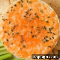Instant Pot Buffalo Chicken Dip 8 A cheesy buffalo chicken dip, made in an Instant Pot and topped with chives, is surrounded by tortilla chips, celery sticks, and round crackers.