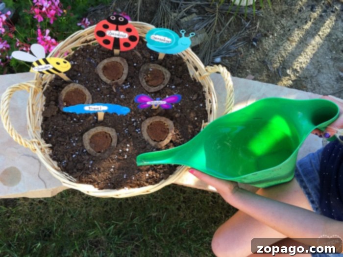 Summer Adventures for Kids 3 colorful garden signs in a kids' vegetable garden