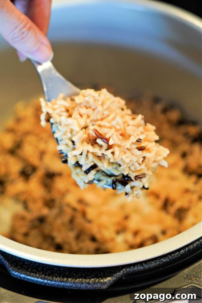 Perfect Wild Rice in Your Ninja Foodi 2 Perfectly cooked fluffy wild rice in a Ninja Foodi inner pot, ready to serve.