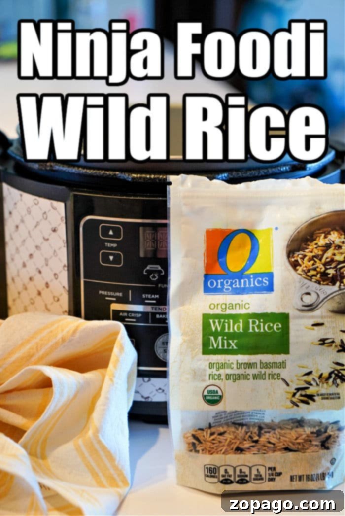 Perfect Wild Rice in Your Ninja Foodi 4 Close-up of perfectly fluffy cooked Ninja Foodi Wild Rice, highlighting its rich color and texture.