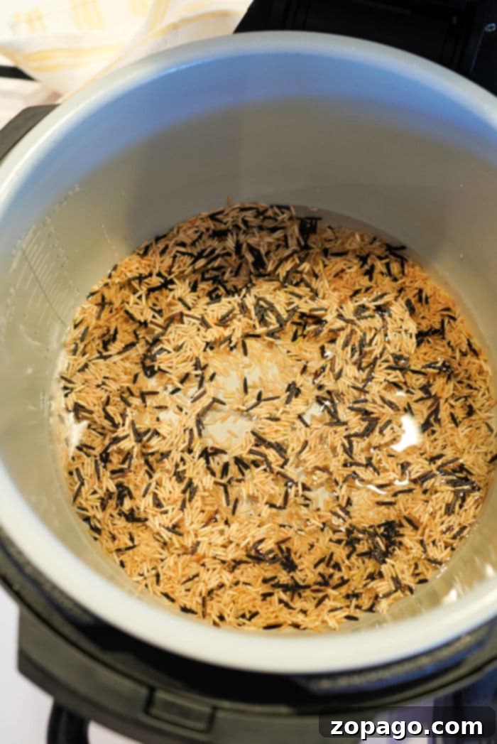 Perfect Wild Rice in Your Ninja Foodi 6 Fluffy cooked wild rice served in a bowl, fresh from the Ninja Foodi.