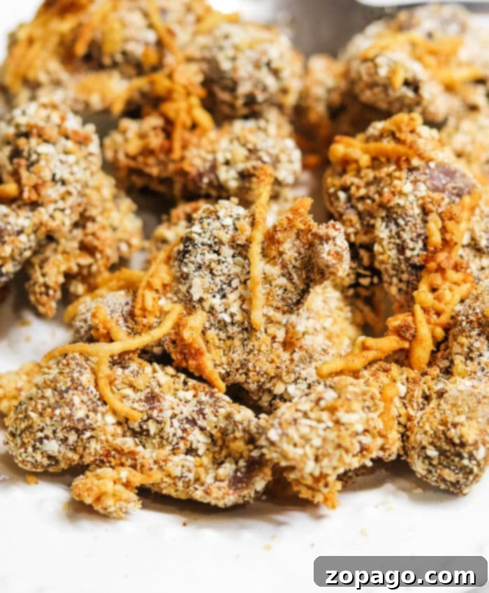 Homestyle Chicken Gizzards and Savory Gravy 6 Fried Chicken Gizzards - Crispy Snack