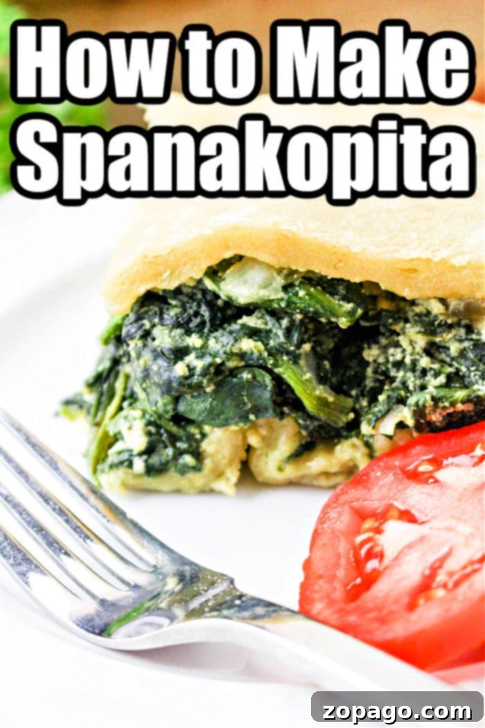 Trader Joes Flaky Spanakopita Perfection 2 How to make homemade spanakopita