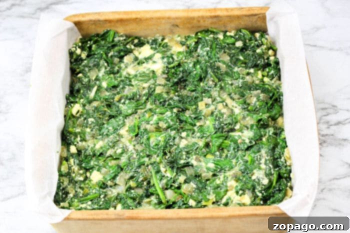 Trader Joes Flaky Spanakopita Perfection 5 Spanakopita with golden puff pastry