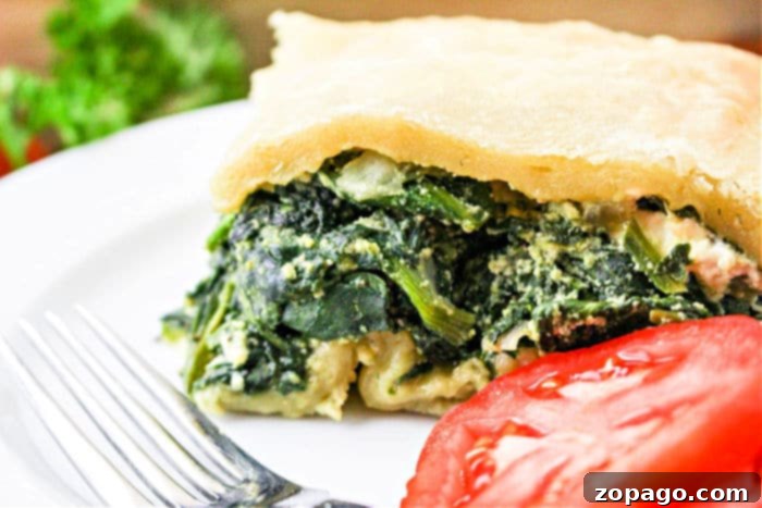 Trader Joes Flaky Spanakopita Perfection 7 Easy homemade spanakopita recipe