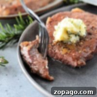 Ninja Foodi Dual Zone Air Fryer Steak Recipe 8 steak frozen directions