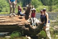 Yosemite Magic for Little Explorers
