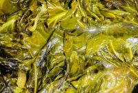 Authentic Southern Slow Cooker Collard Greens