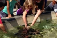 Long Beach Aquarium of the Pacific