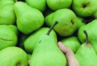 Unlocking the Perfect Pear Slice
