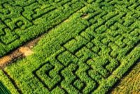 Temecula’s Big Horse Corn Maze