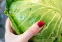 Savory Cabbage Creations