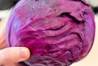 Purple Cabbage Culinary Adventures