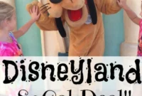 Disneyland Southern California Tickets