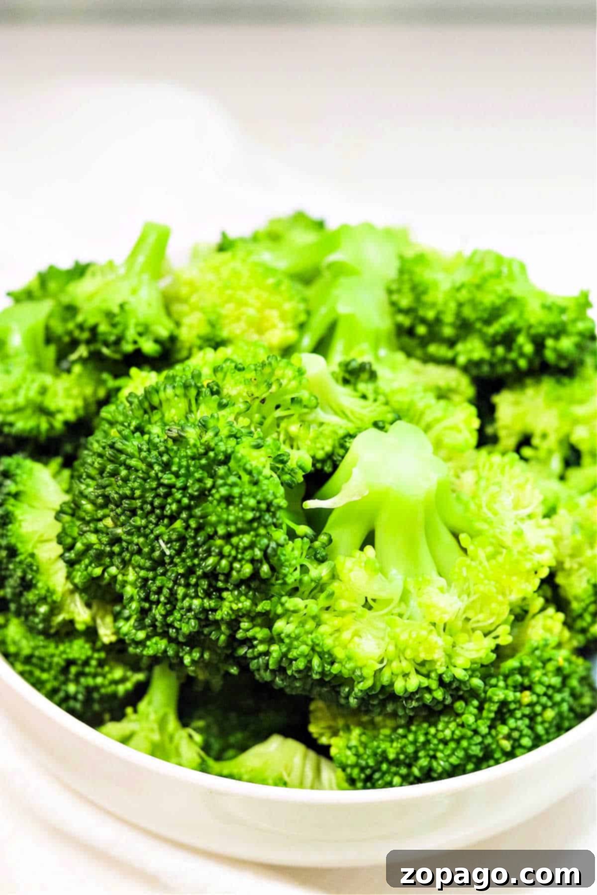featured 166802 1