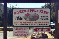 Oak Glen Apple Picking Adventure