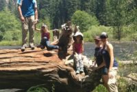 California Family Road Trip Adventures Await