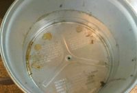 Clean Your Slow Cooker Like a Pro