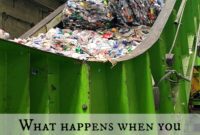 What Happens to Your Plastic Bottle After You Recycle It