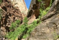Discover Zion National Park