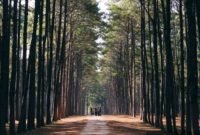 The Ultimate Idaho Camping Adventure