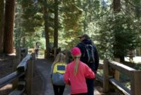 California’s Golden Coast Adventure