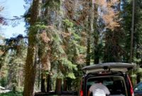 Your Ultimate Road Trip Packing Guide
