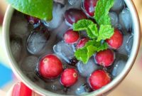 Ruby Cranberry Mule